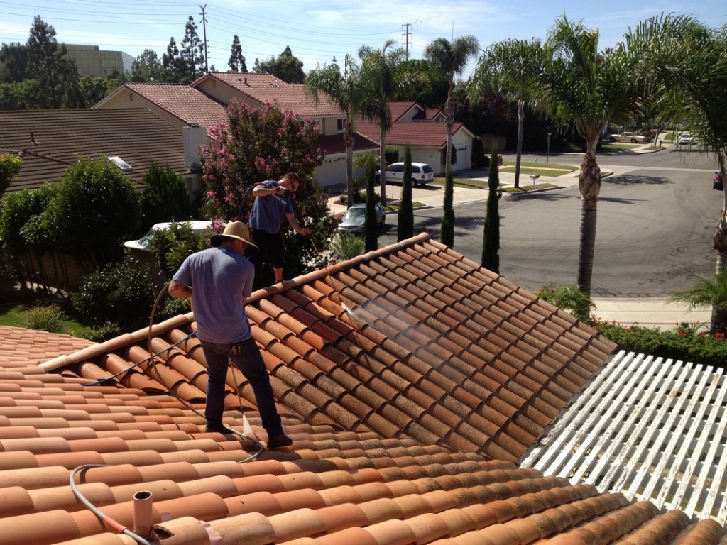 Roof Moss Removal